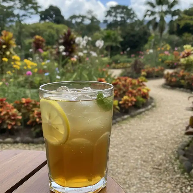 Low-Glycemic Aguapanela con Limón – Lifestyle drink recipe from Colombia