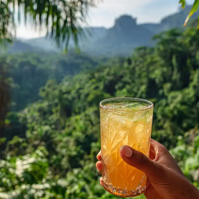 Homemade Surinamese Ginger Syrup Drink – Celebration drink recipe from Suriname
