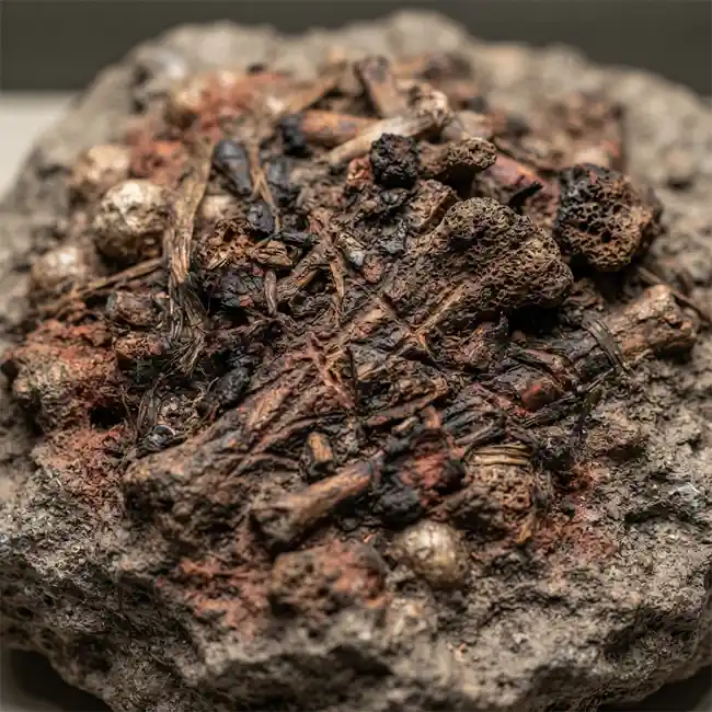 Laetoli Ember-Roasted Savannah Ostrich with Smoked Bone Marrow & Ash-Baked Wild Tubers – first flame hearth primitive roasted meats recipe from Olduvai Gorge & Laetoli