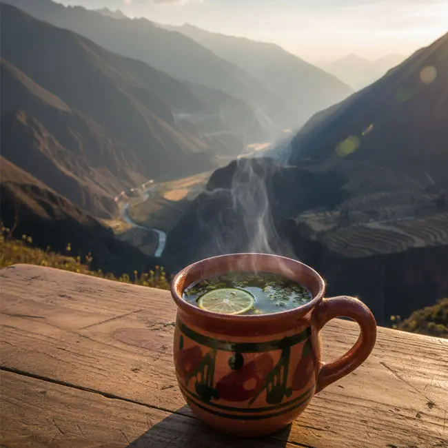 Traditional Emoliente – Vegetarian drink recipe from Peru